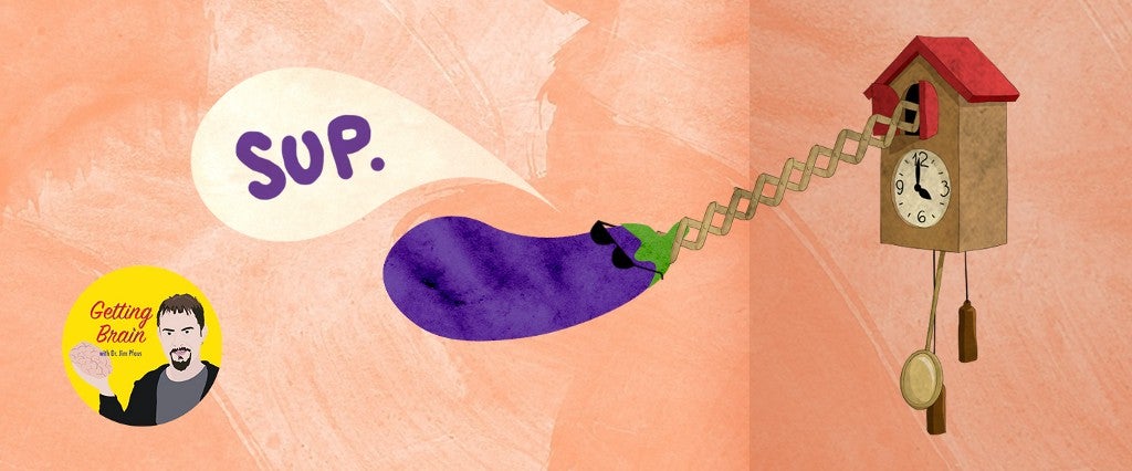 Article Thumbnail