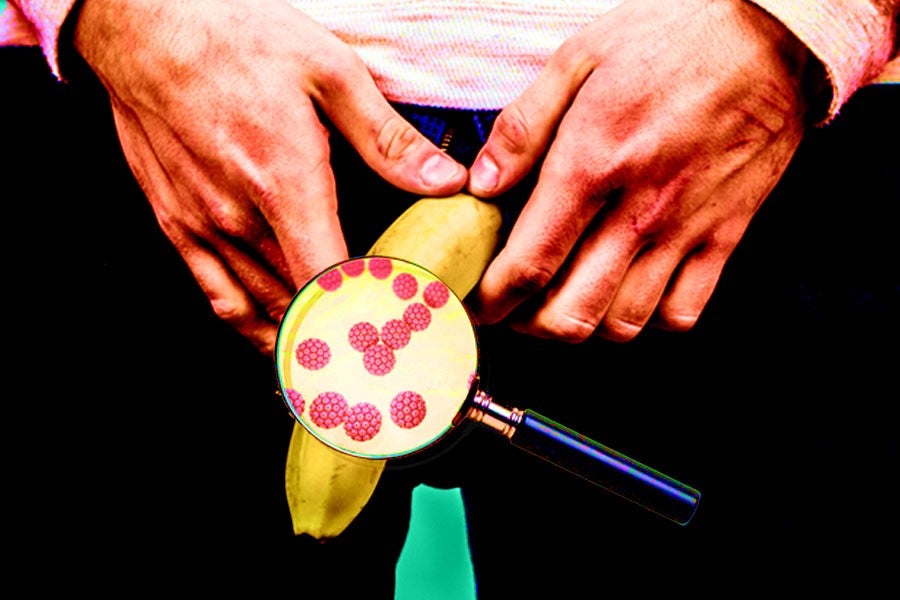 Article Thumbnail