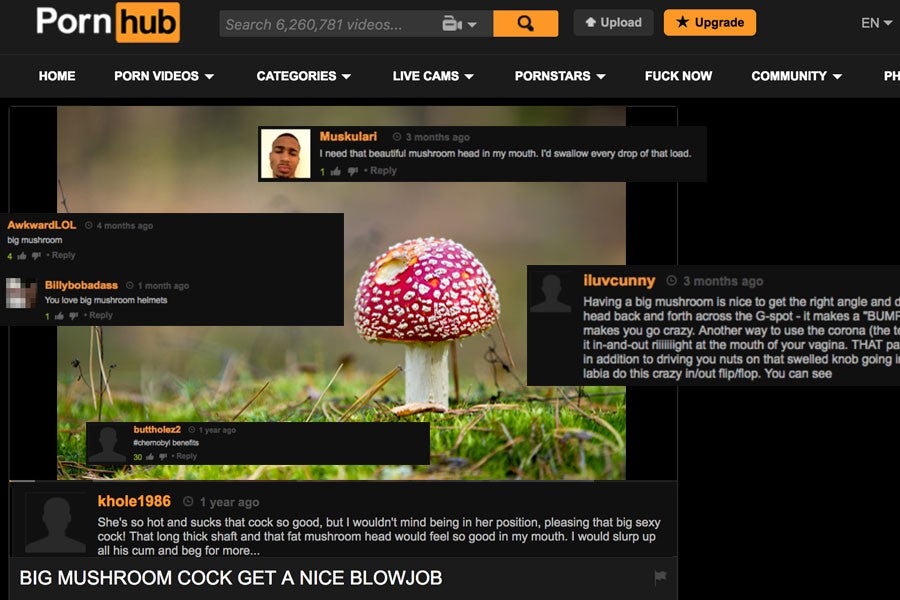 Article Thumbnail