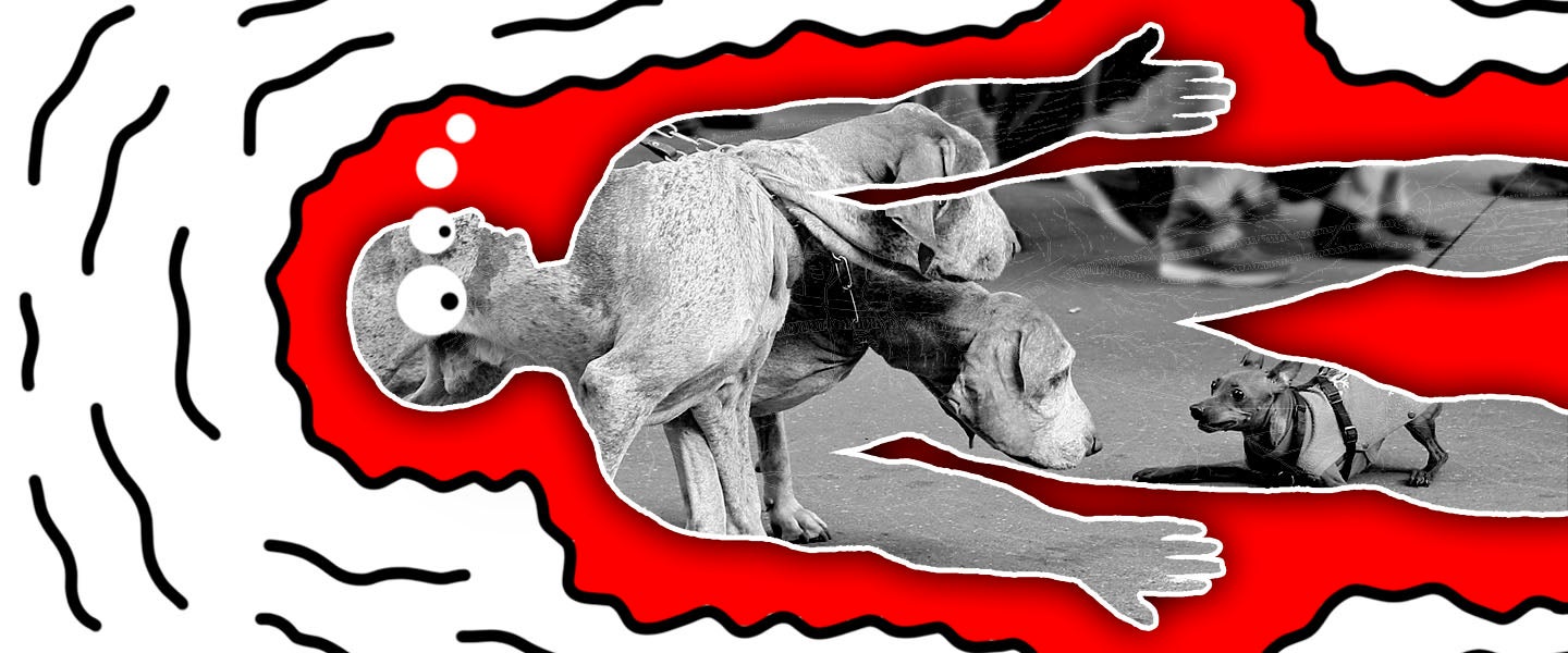 Article Thumbnail