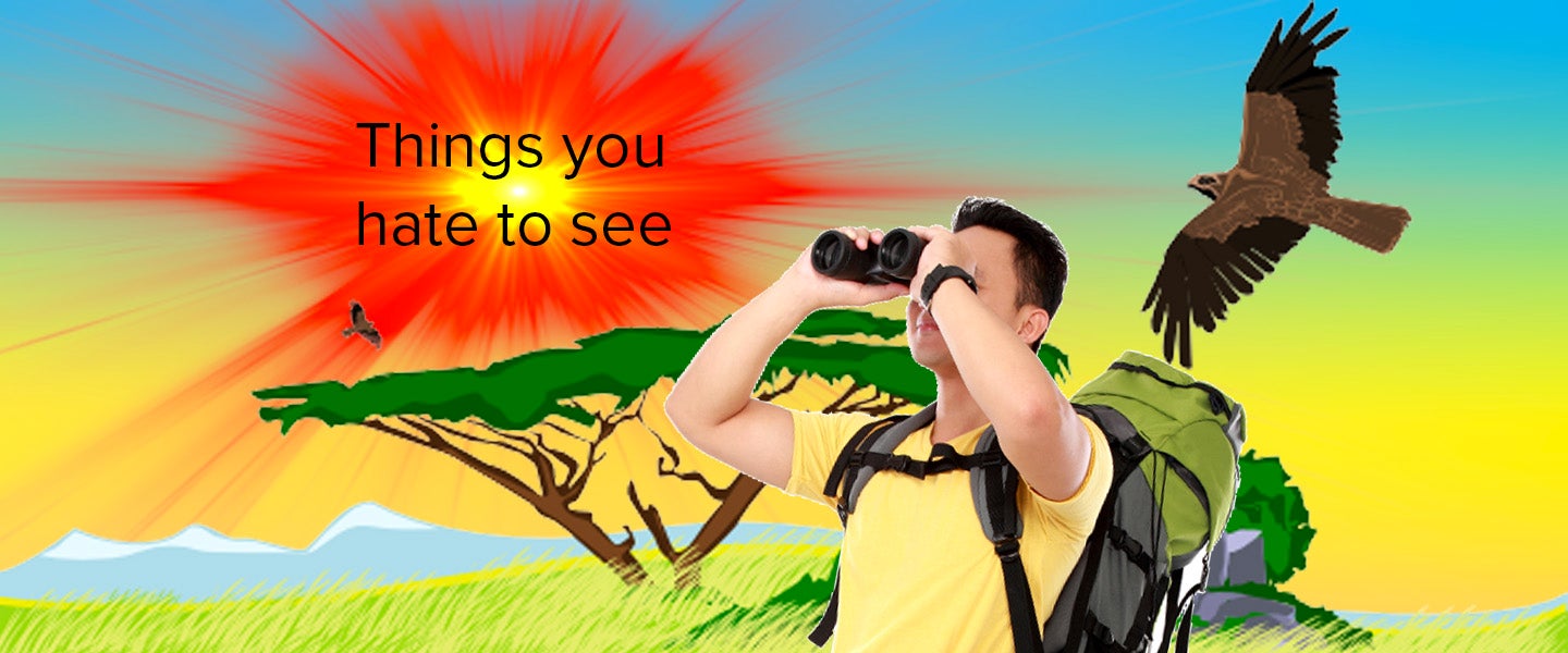 Article Thumbnail