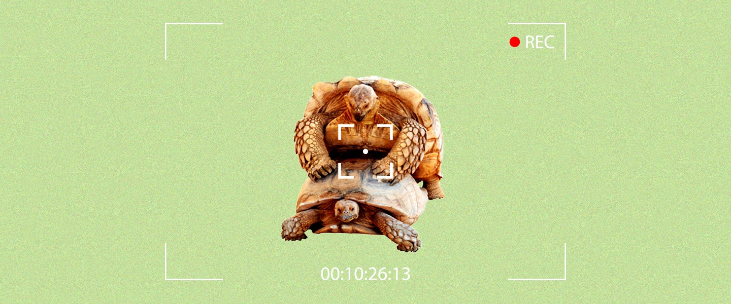 Article Thumbnail