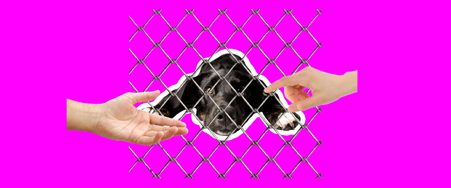 Article Thumbnail