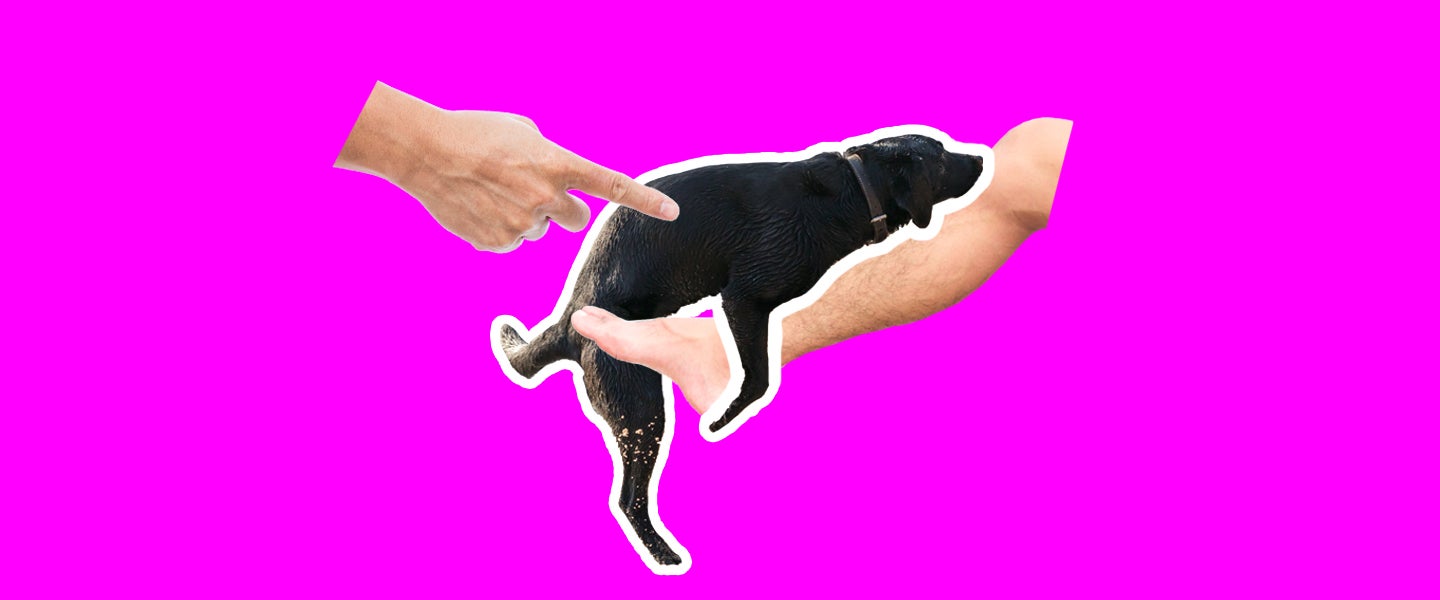 Article Thumbnail