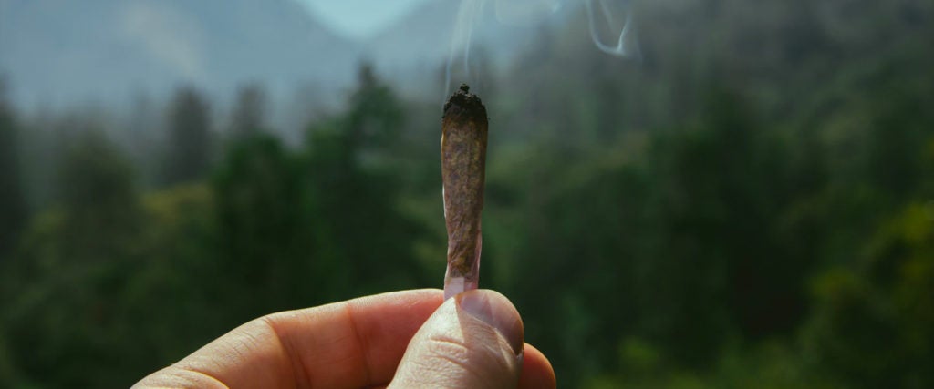 Article Thumbnail