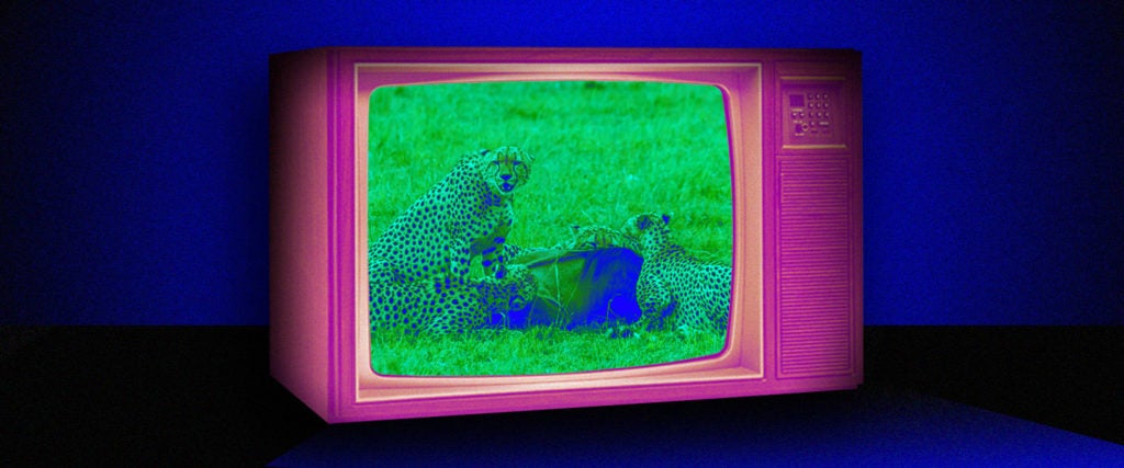 Article Thumbnail