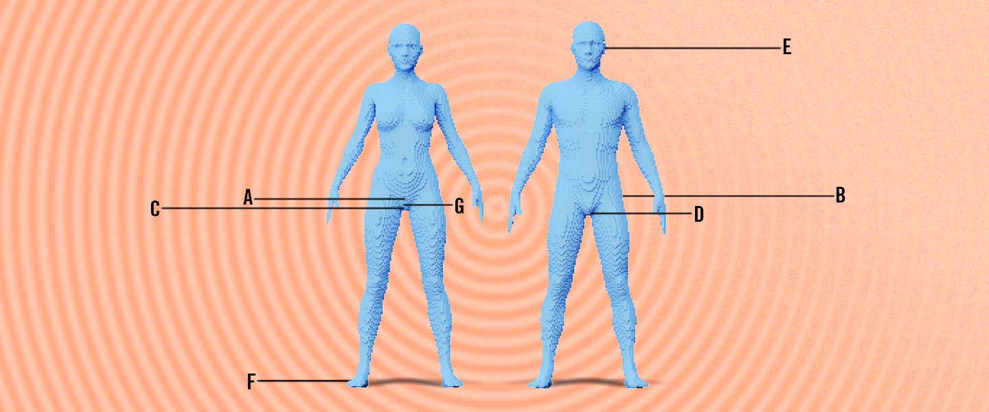 Scientific insights into the deep fornix and arousal