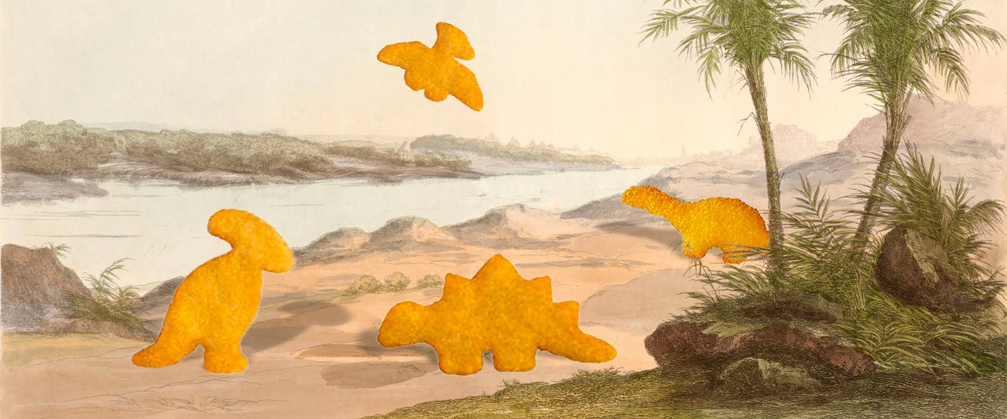 Dinosaur Chicken Nuggets Origin Story: How Nuggets Turned