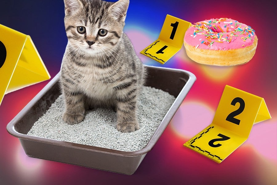 From Crumbs to Kitty Litter, the Dumbest Things Cops Have Mistaken for Drugs