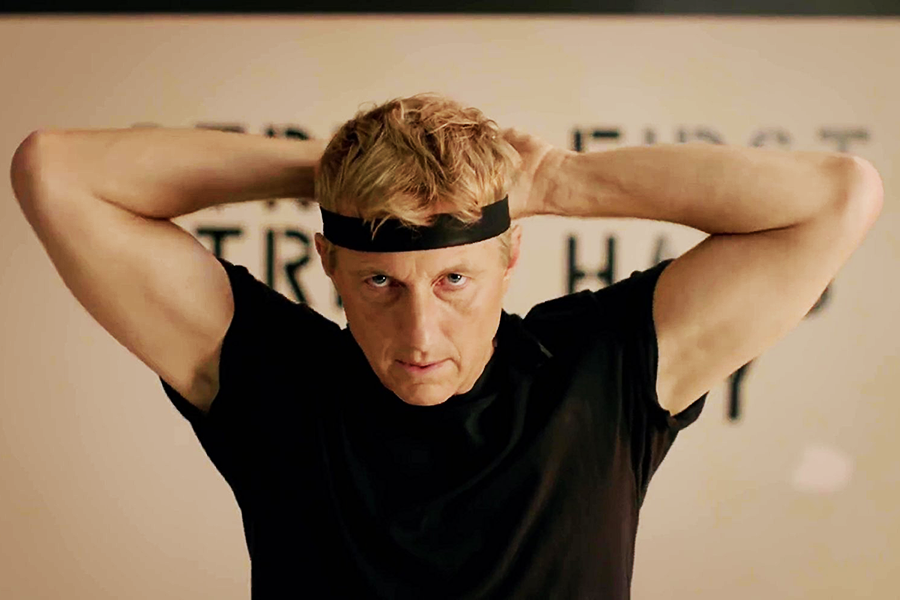 ‘cobra Kai Is About How Some Guys Never Get Over High School 