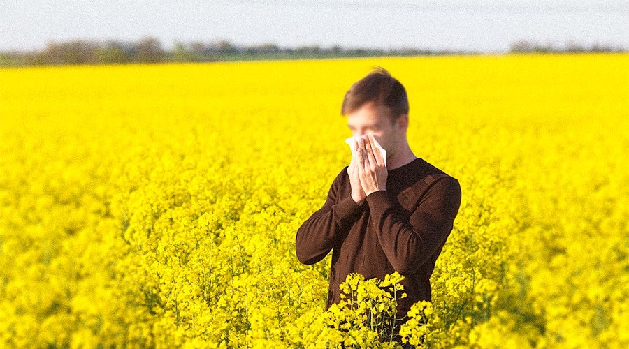 Your Allergy Brain Fog Is Real