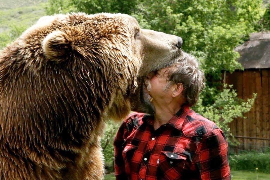 Reminder: Bears Are Not Your Friends, Never Will Be