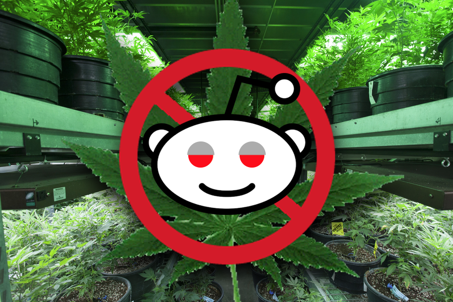 The Reddit Support Group for People Who Quit Smoking Weed