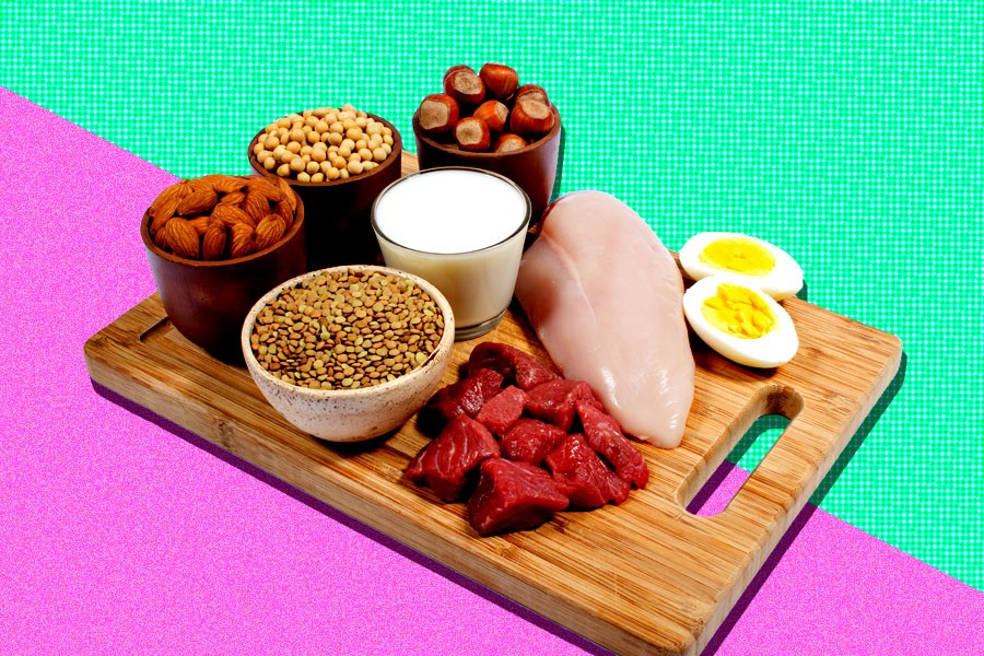 Animal Protein or Plant Protein: Which Should You Go For?
