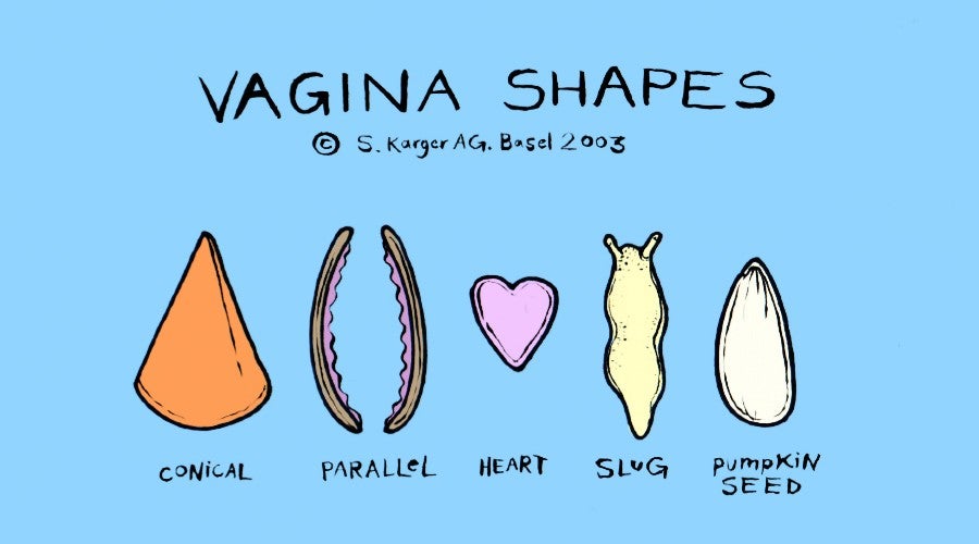 different vagina shapes and sizes