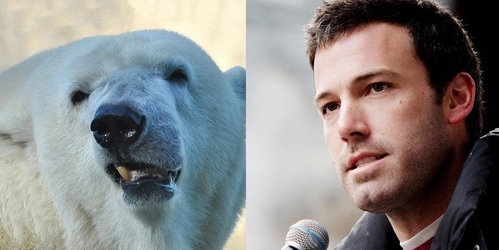 Ben Affleck: 'Eu pareço um urso polar doente nas cenas de sexo' - Jornal O  Globo