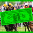 STUPIDMONEY_HorseRace