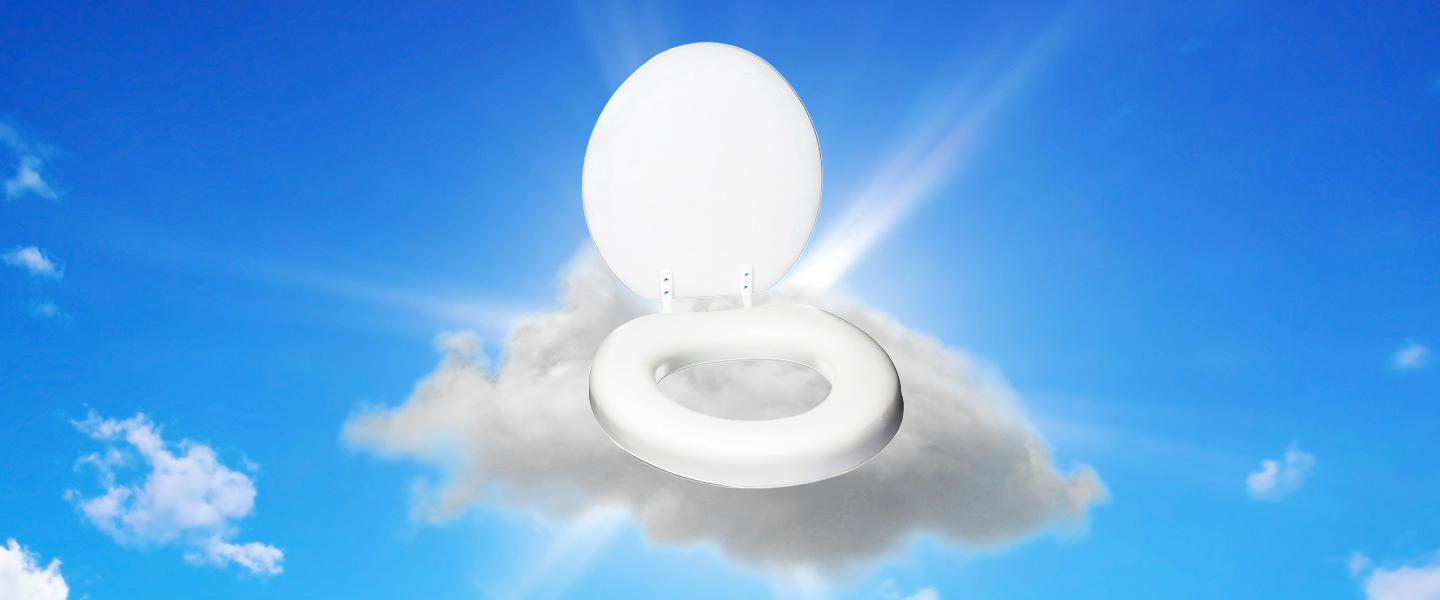 A NotQuiteComplete History Of The Puffy Toilet Seat