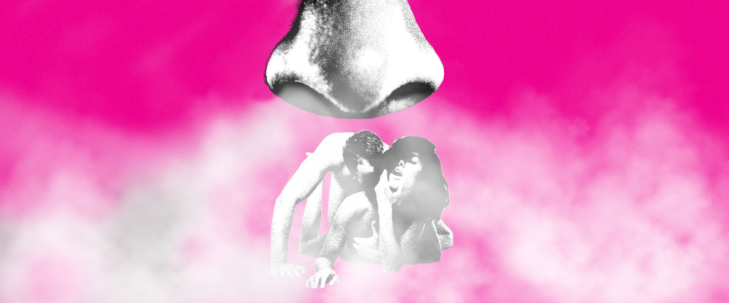 The Smell of Sex, Deconstructed hq nude pic