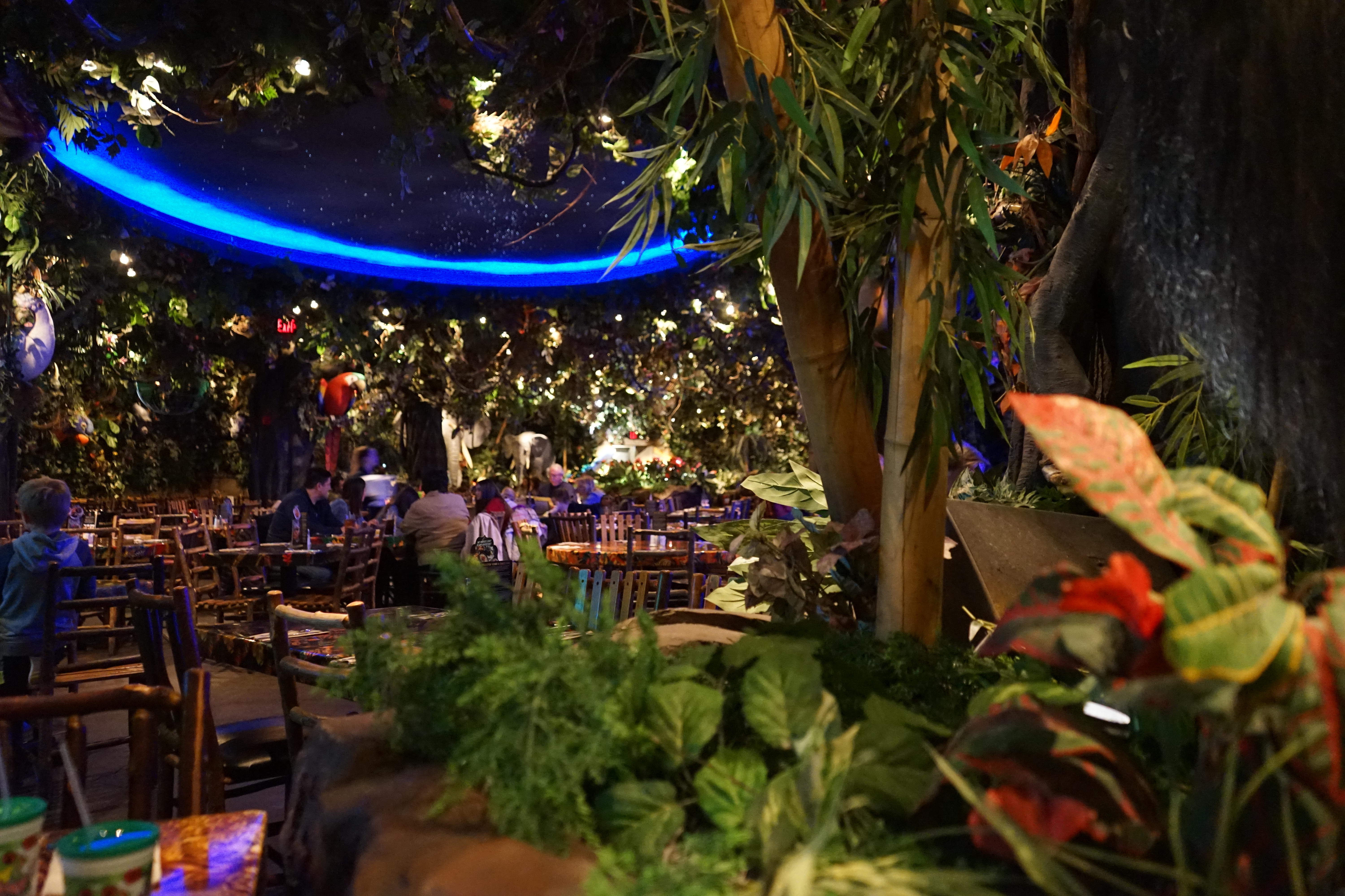 Rainforest Cafe at Woodfield Mall to close Jan. 1