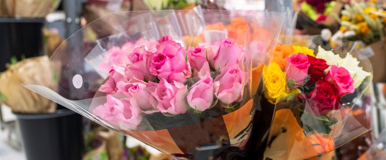 Winn Dixie Flowers Best Flower Site