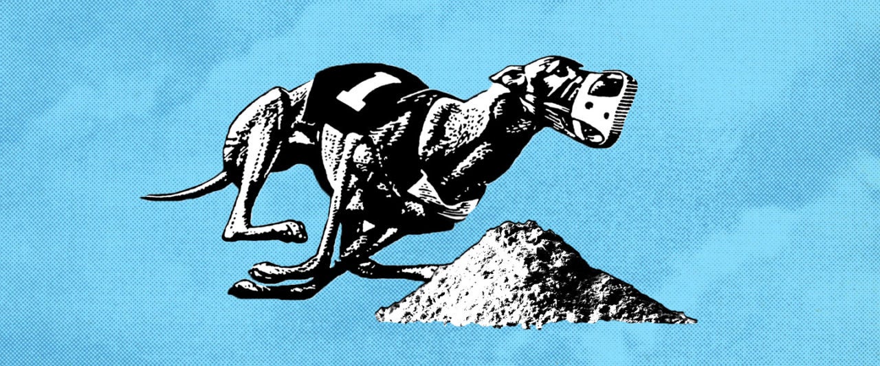 Greyhound Racing Has a Cocaine Problem
