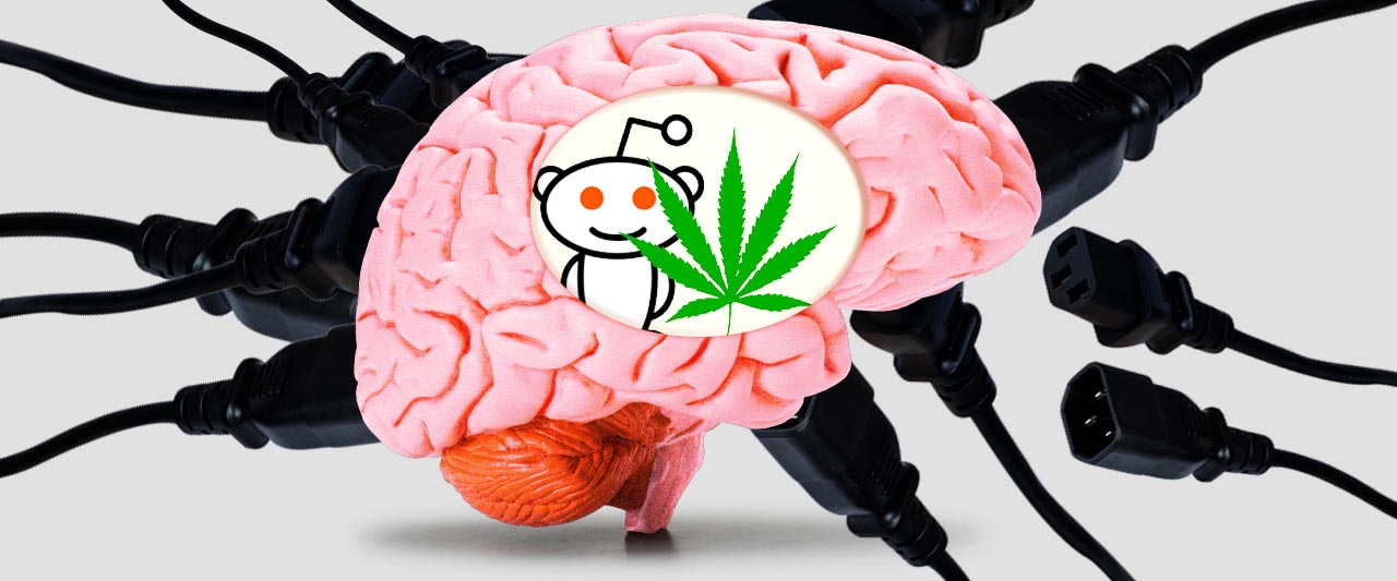 How To Quit Weed And Be Happy Reddit : To Justify Using Weed Pregnant Women Cling To An Old And ...