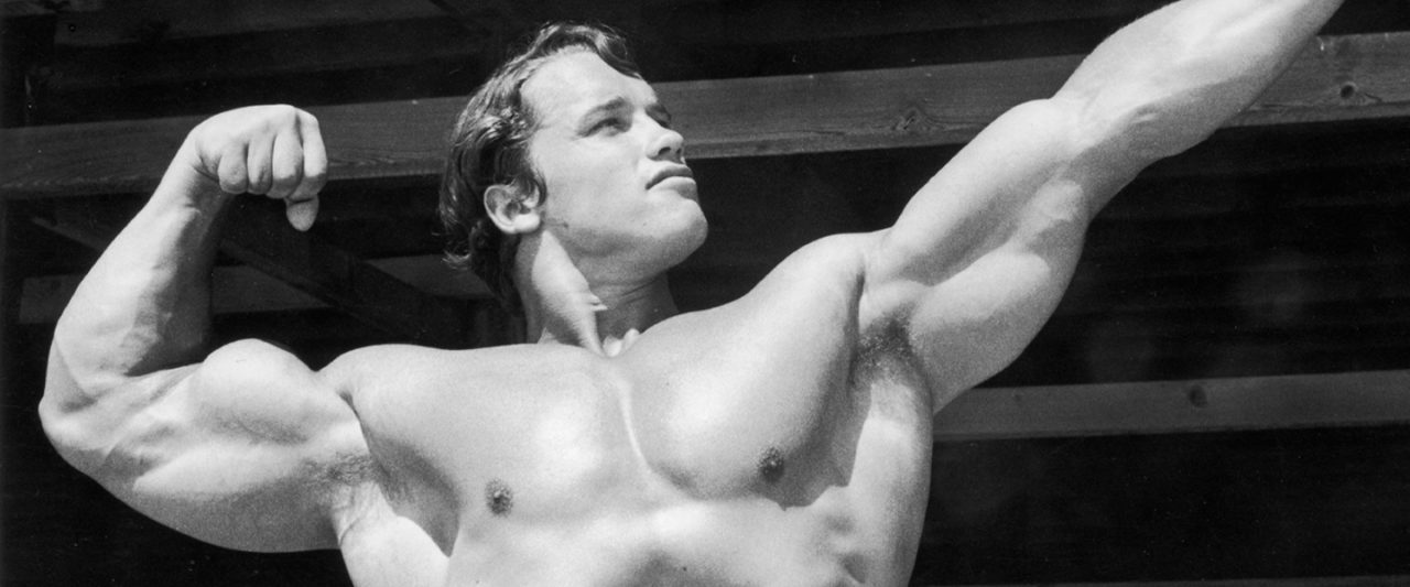 Gym Rep Sex Videos - Arnold Schwarzenegger Posted a Stellar No-Gym Workout on Reddit