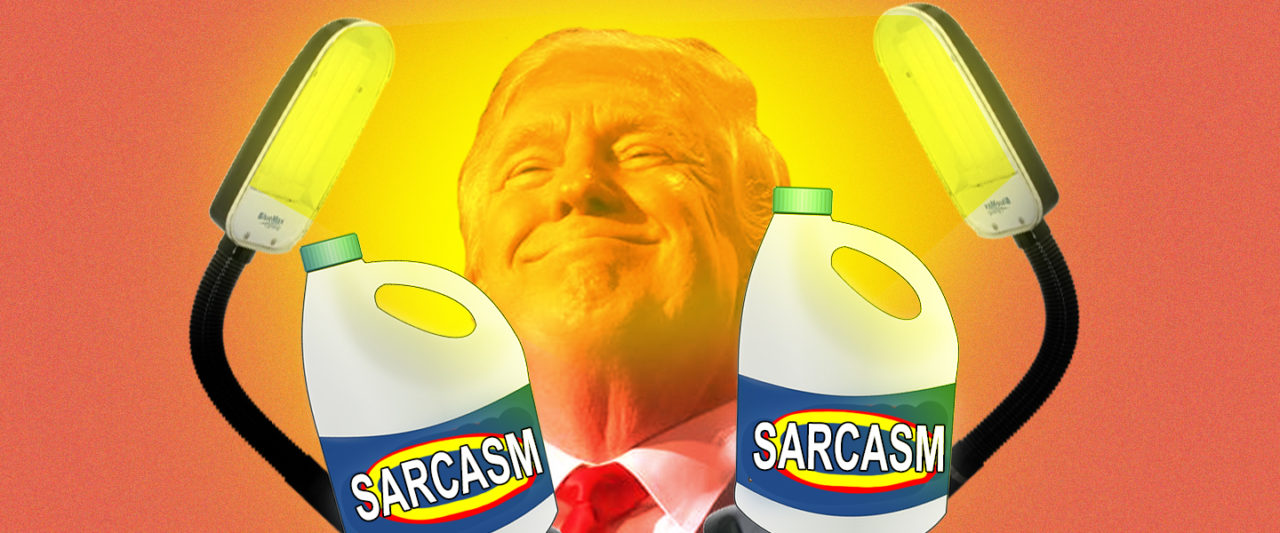 Shining A Light On Donald’s Sarcasm