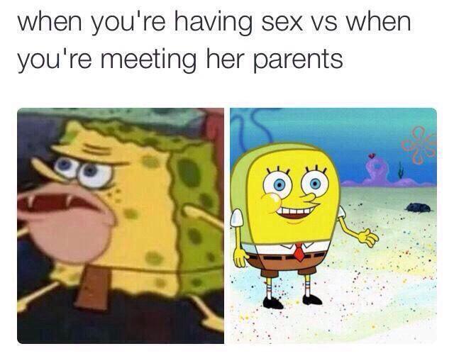 Getting To The Bikini Bottom Of ‘spongebob Sex Memes 