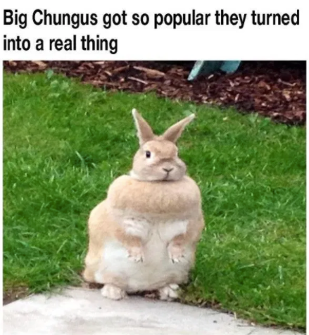 Big Chungus Memes Why Reddit Banned R Bigchungus Subreddit - roblox meme big chungus