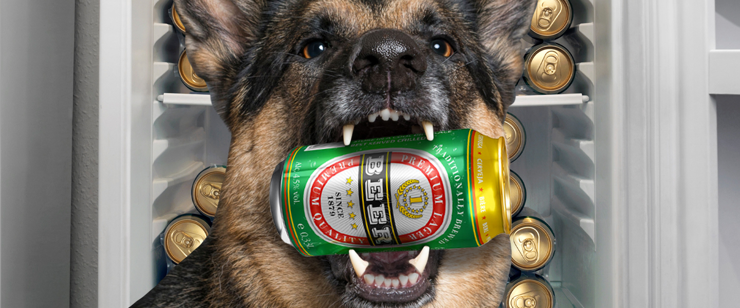 how do you train a dog to get you a beer