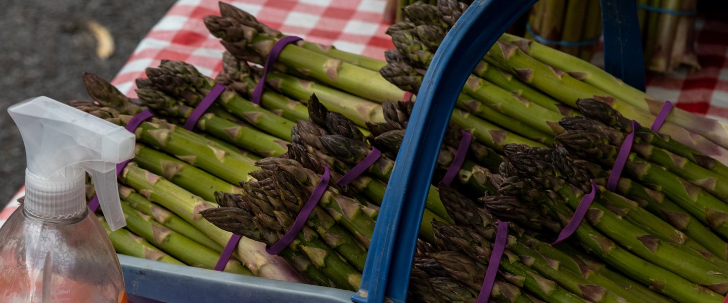 Purple Asparagus Rubber Bands Are Actually High Fashion
