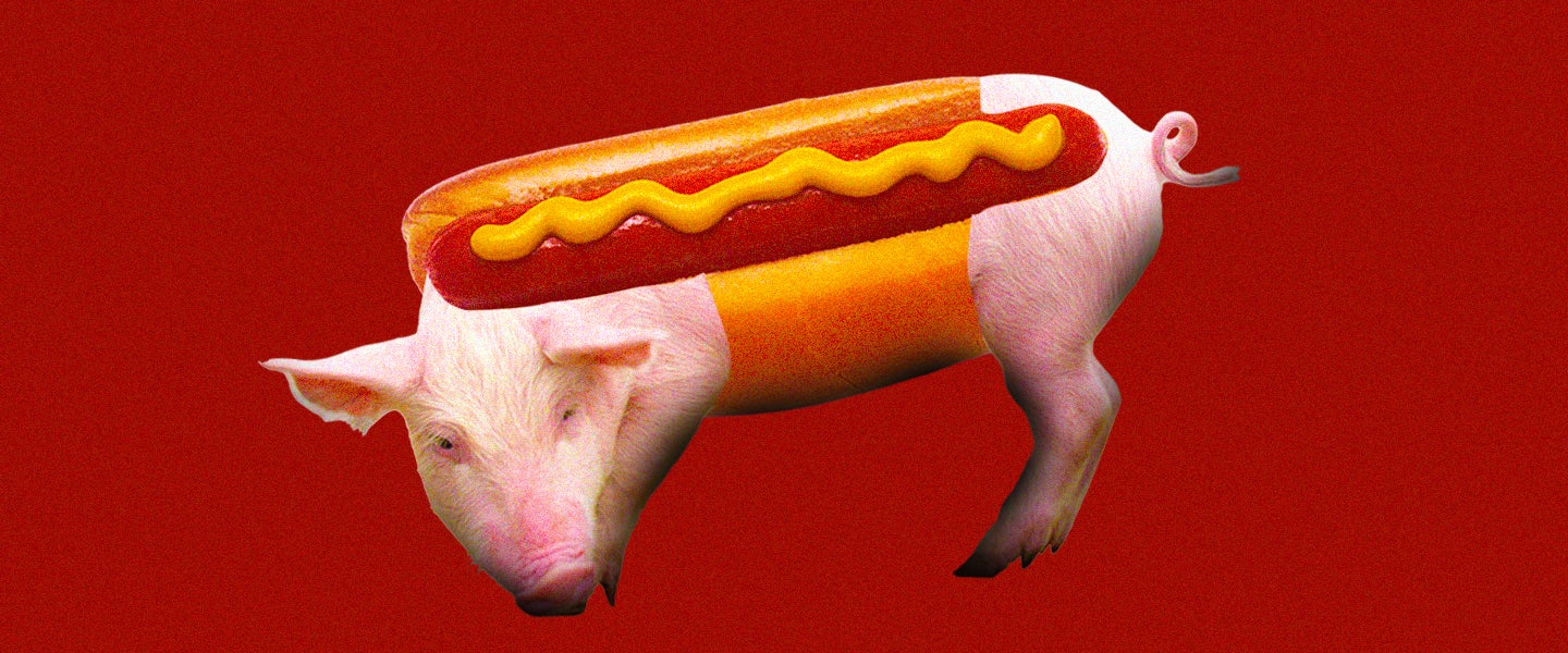 1440px x 600px - How Much of My Hot Dog Is Composed of, Uhh, Lips and Buttholes?