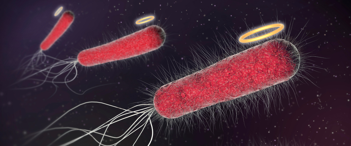 Good Gut Bacteria: Is All E. Coli Bacteria Bad For You?