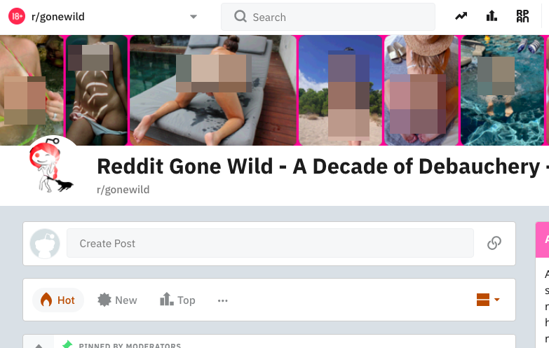 Reddit Gone Wild Subreddits