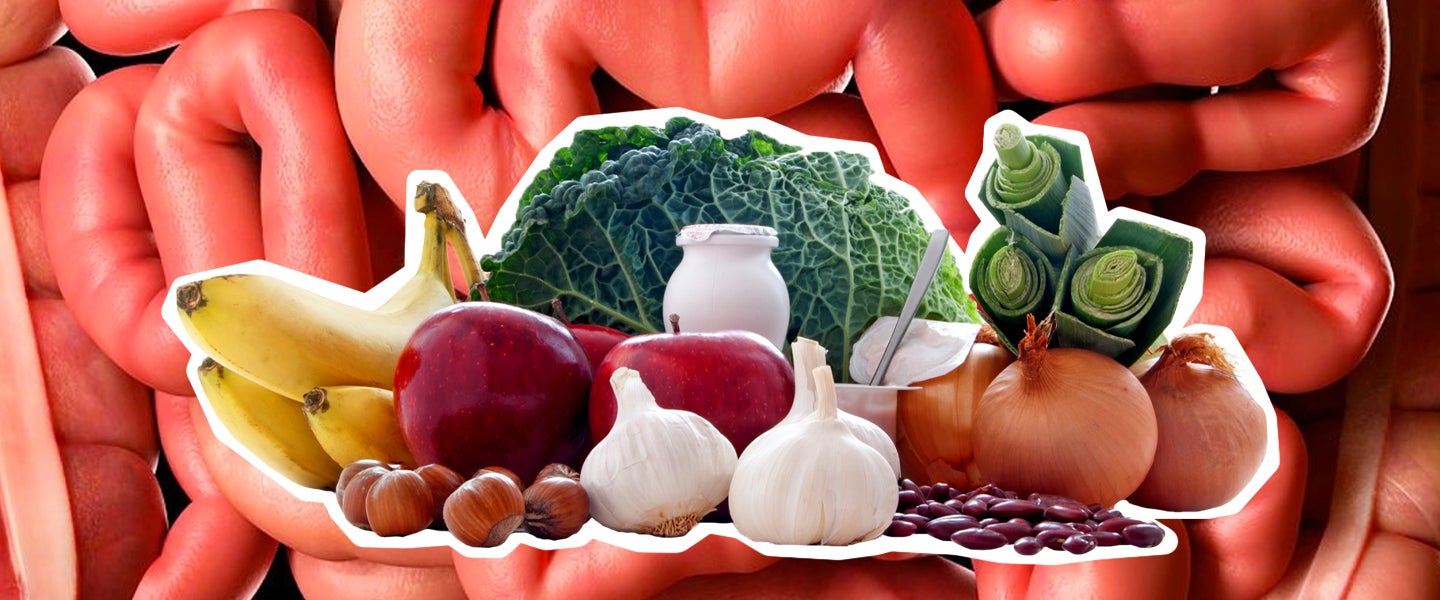 What is Prebiotic Fiber? Prebiotic vs Probiotic Foods Explained