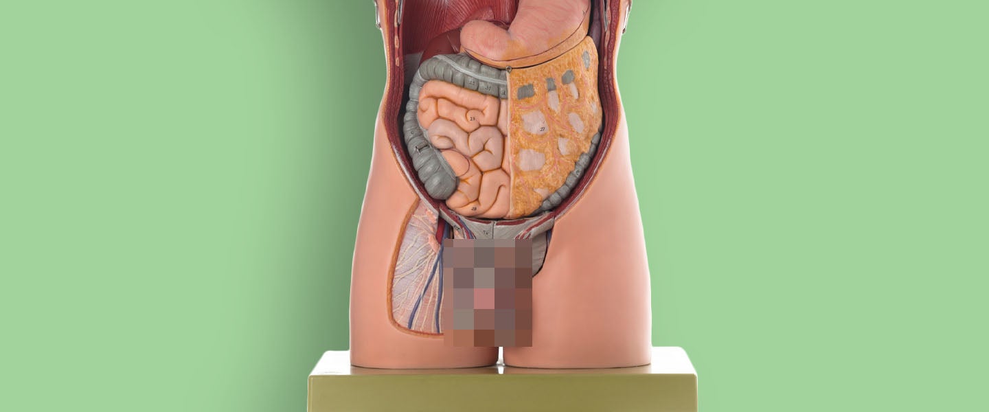 Food and Sex: The Perfect Meals to Eat Before Sex