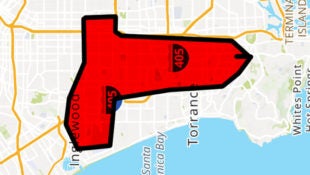 Phallic_Shaped_Congressional_Districts