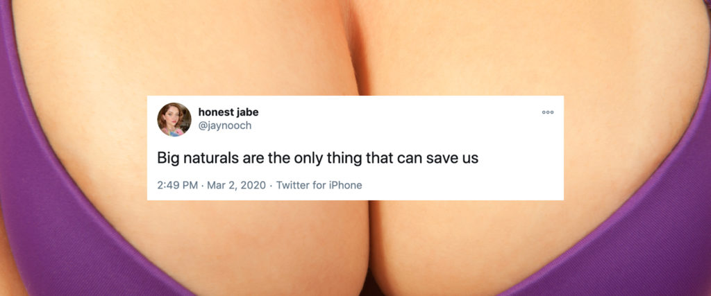 Big Naturals: Porn Boobs That Conquered the World