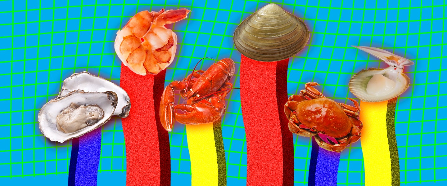 9-different-types-of-shellfish