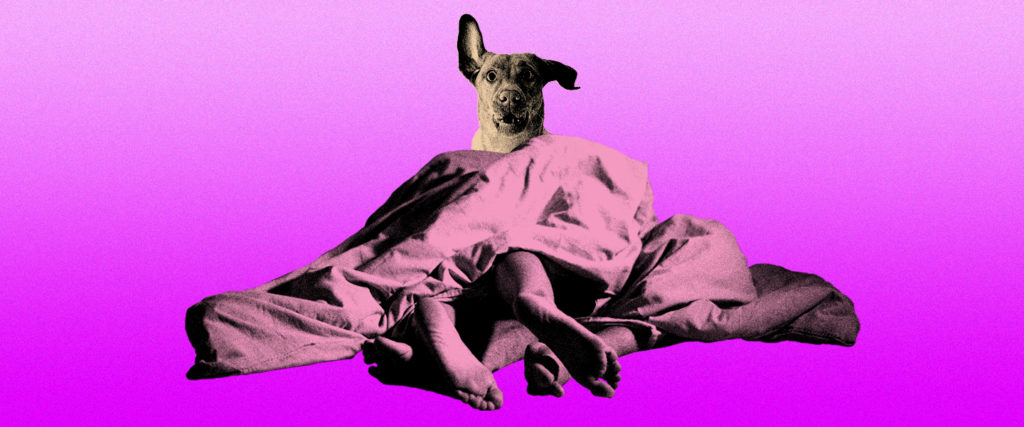 My Dog Saw Me Banging: What Do Pets Think About Sex?