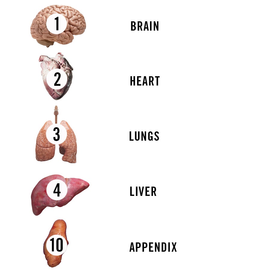 What Organs Can You Live Without Which Are ‘vital Organs 