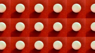 sphereical_egg_tik_tok