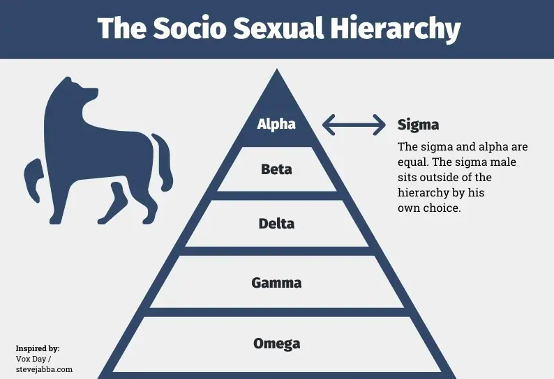 Alpha Beta Male Chart
