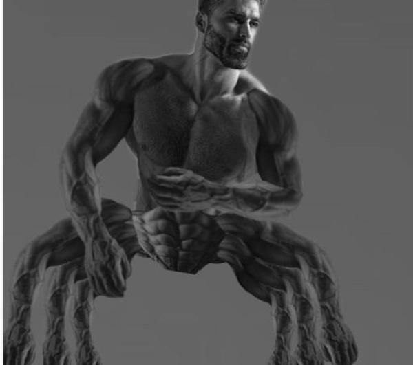 Dank Memes on X: Incase y'all wondered how a real giga chad looks