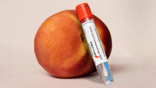 anal-swab-covid-tests