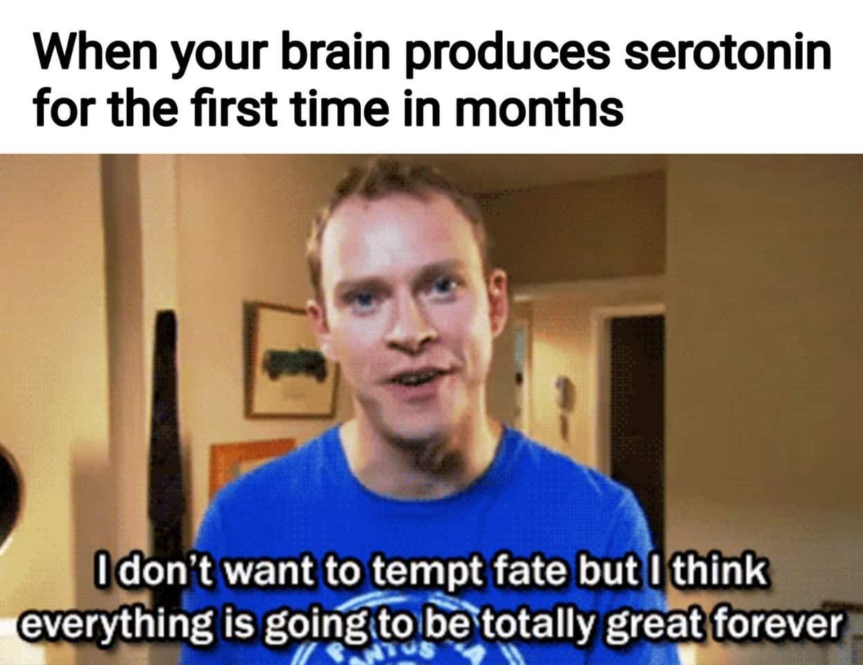 Work Memes That Could Potentially Help Cure Your Lack Of Serotonin