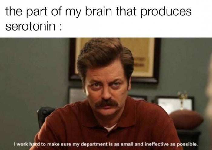 Work Memes That Could Potentially Help Cure Your Lack Of Serotonin