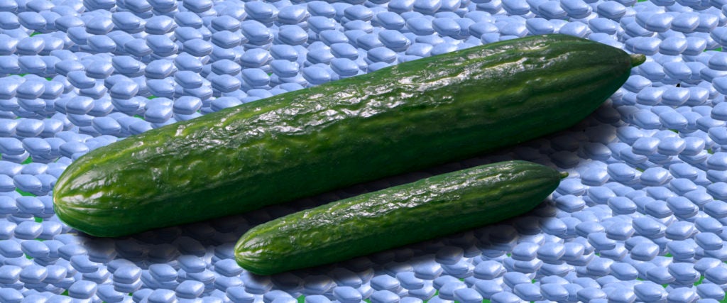 Does Viagra Make You Bigger?